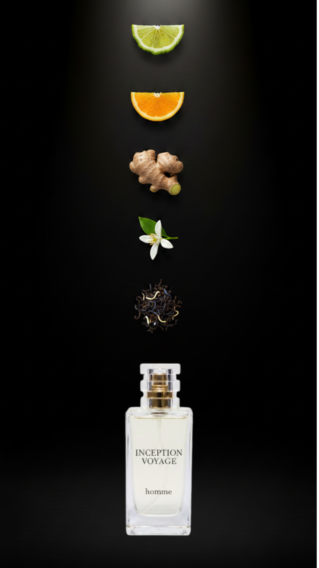 Desert Rose