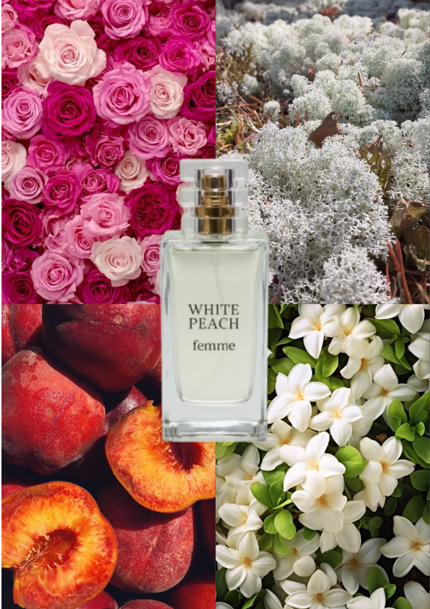 White Peach