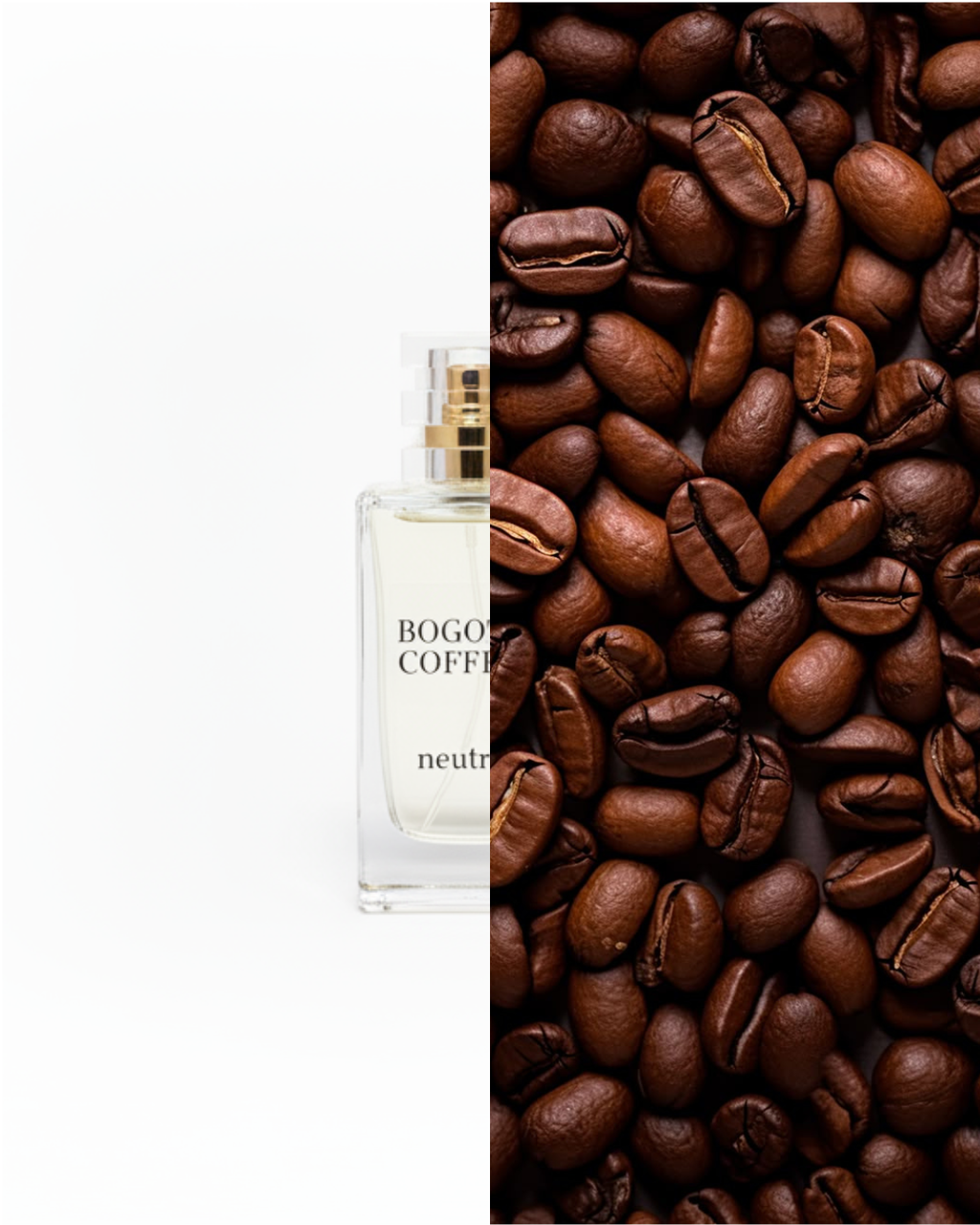 BOGOTÁ COFFEE
