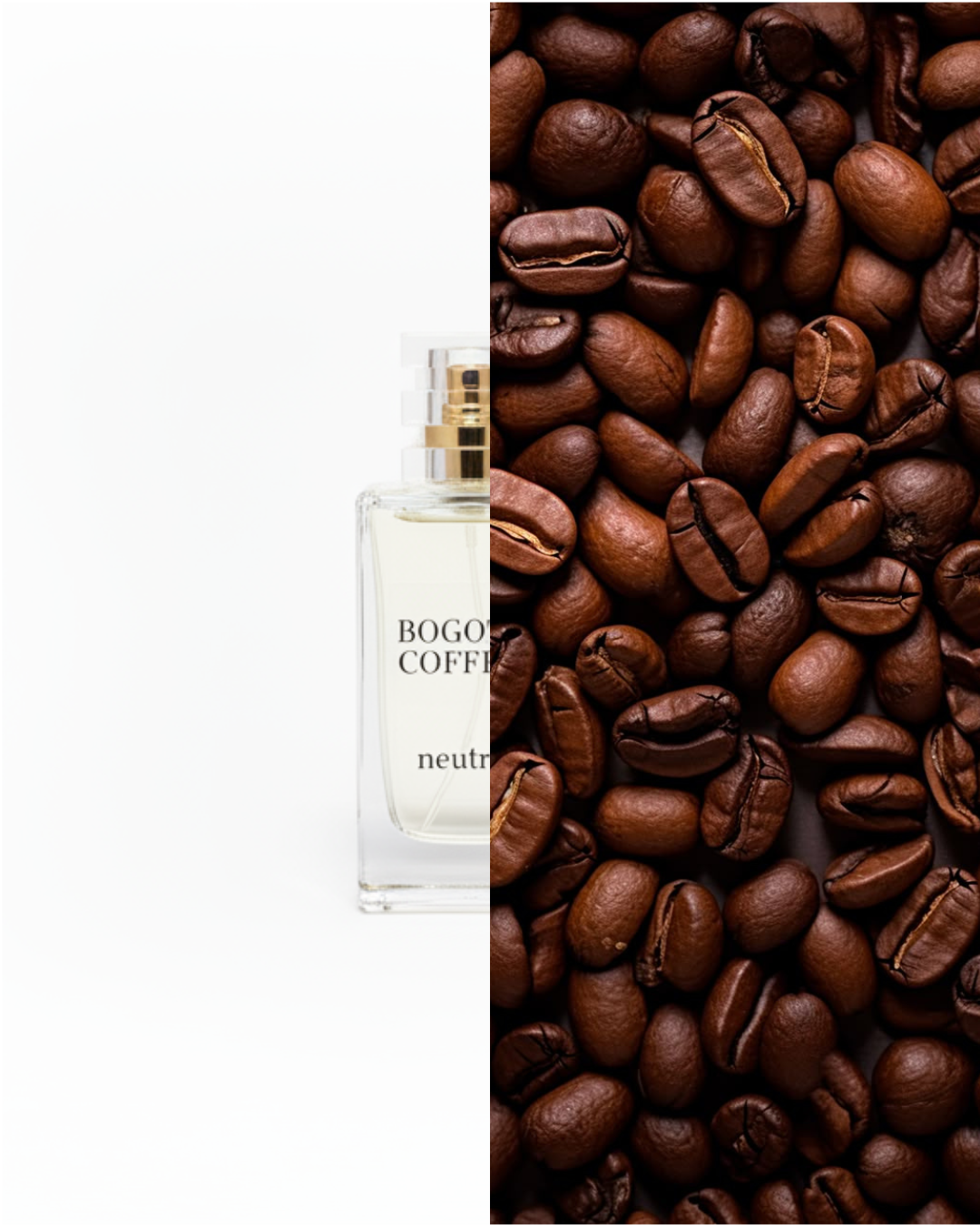 BOGOTÁ COFFEE