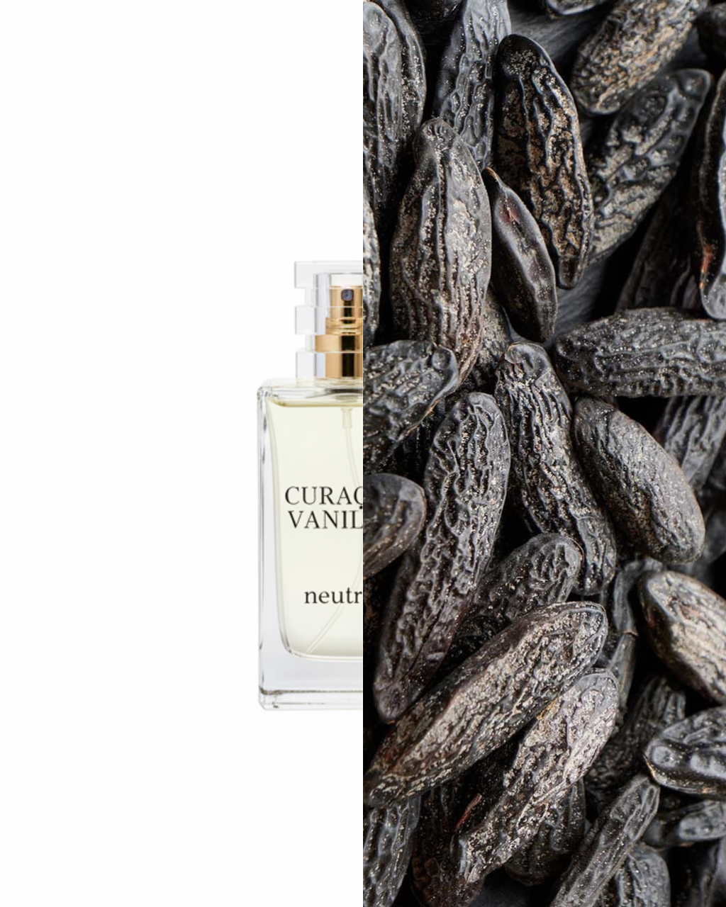 CURAÇAO VANILLA