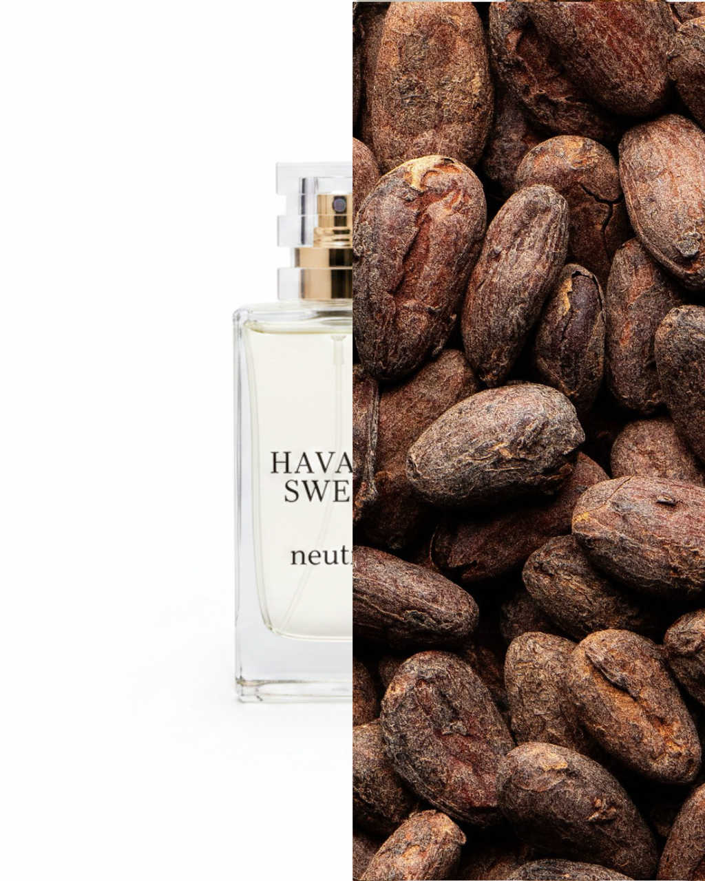 HAVANA SWEET
